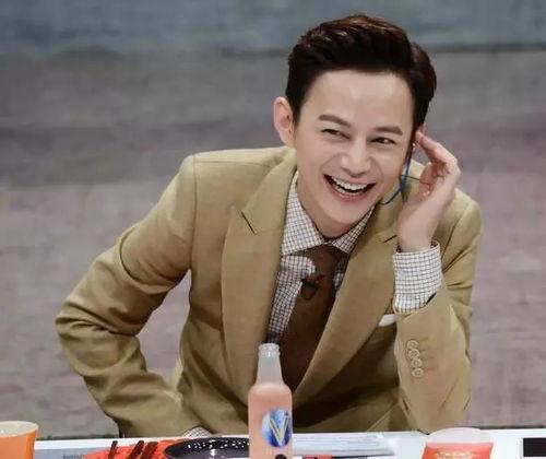 何炅爆料娱乐圈经济,何炅揭秘幕后真相与风云变幻